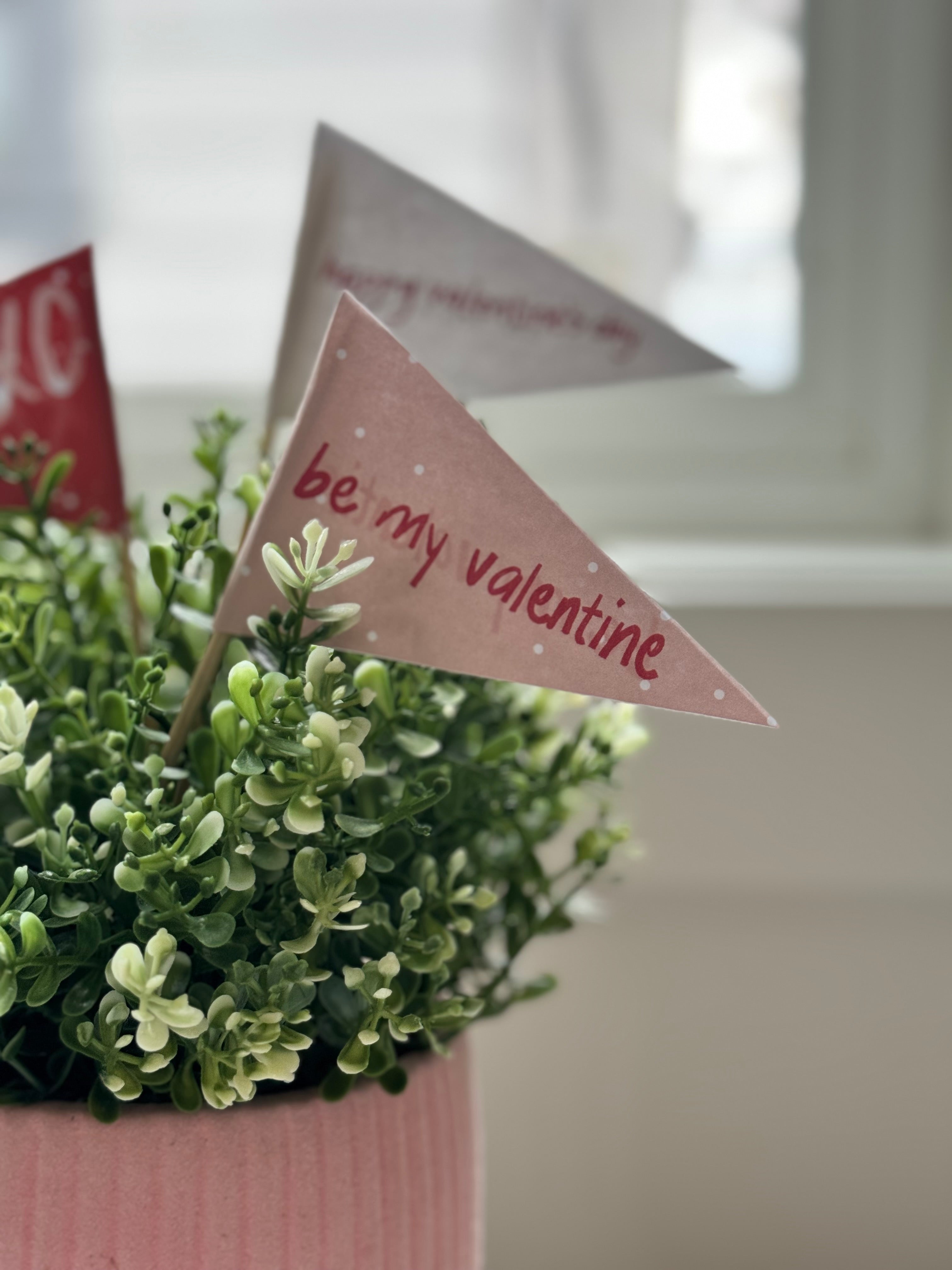 Cute Valentine Pennant Flags