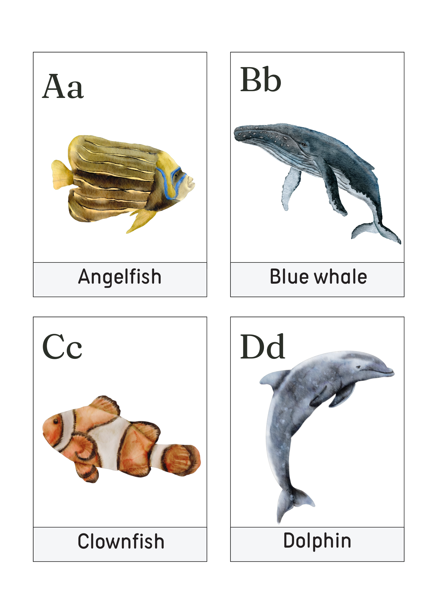 Ocean Alphabet Flash Cards