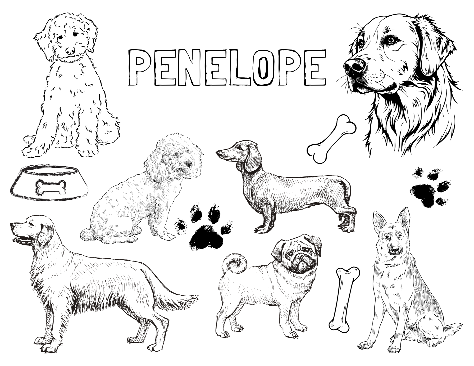 Personalized Dog Colouring Sheet