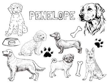 Personalized Dog Colouring Sheet