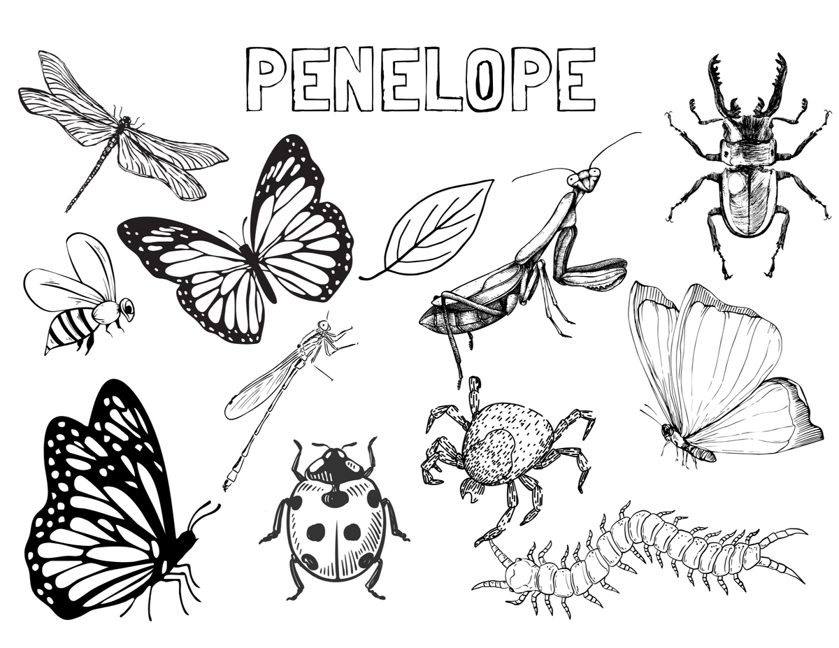 Personalized Insect Colouring Sheet