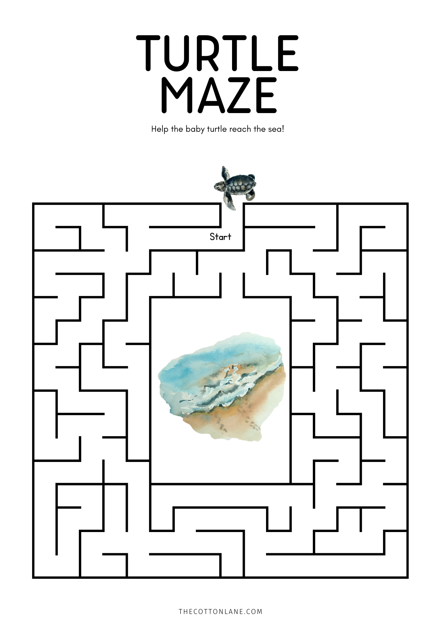 Turtle Maze