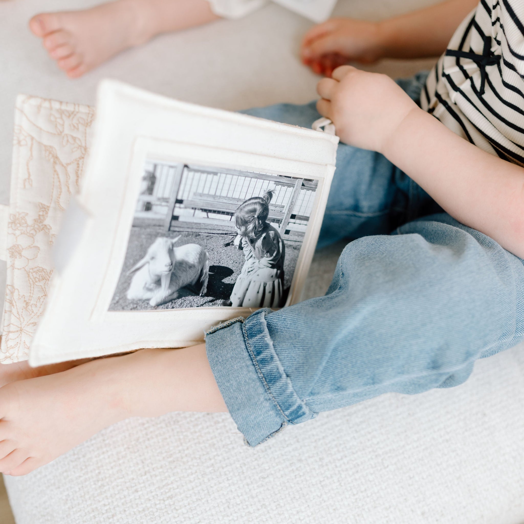 The Developmental Benefits of Family Photo Viewing in Early Childhood: A Systematic Meta-Analysis and Theoretical Justification for Baby-Safe Fabric Photo Albums