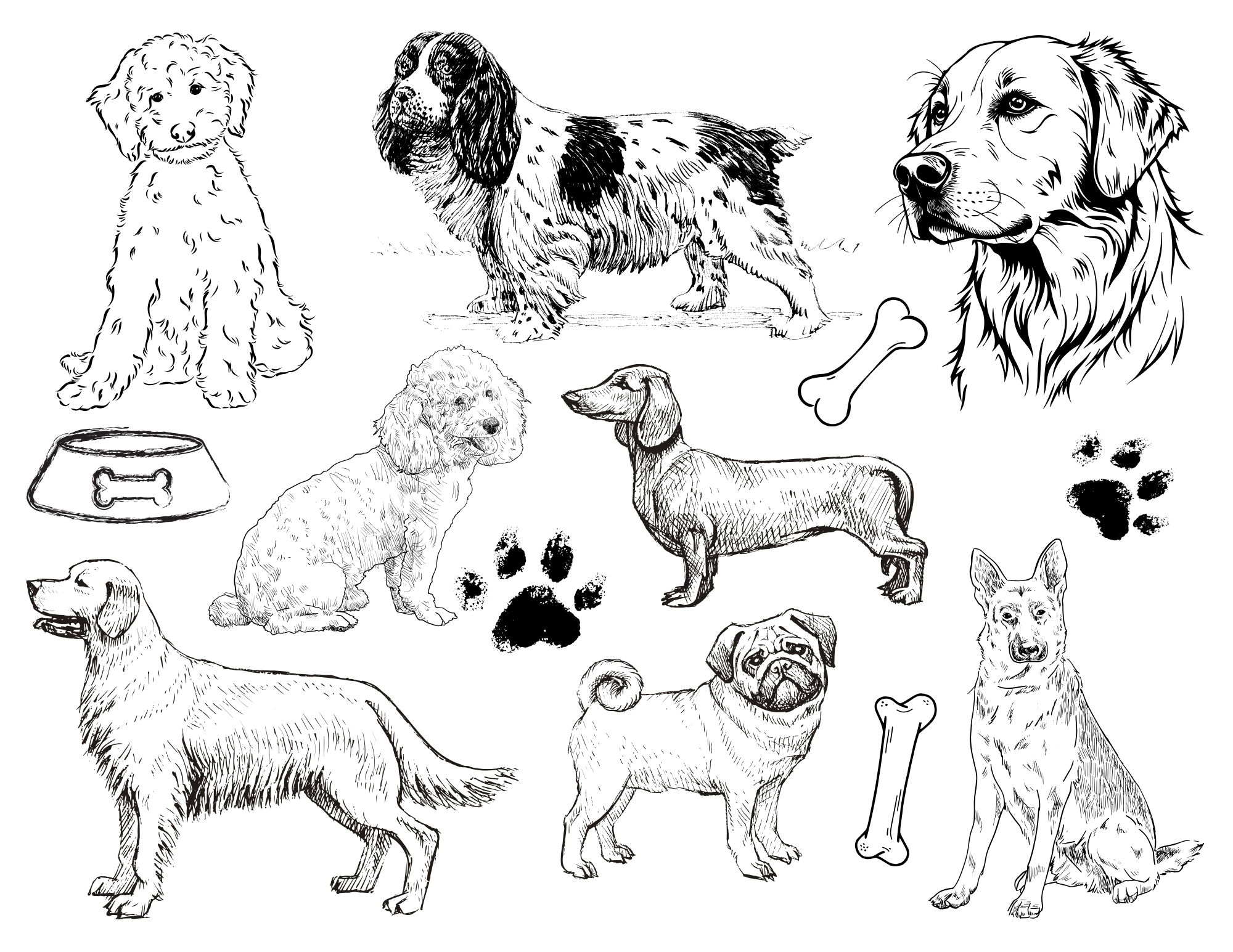 Dog Themed Colouring Sheet