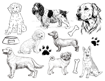 Dog Themed Colouring Sheet