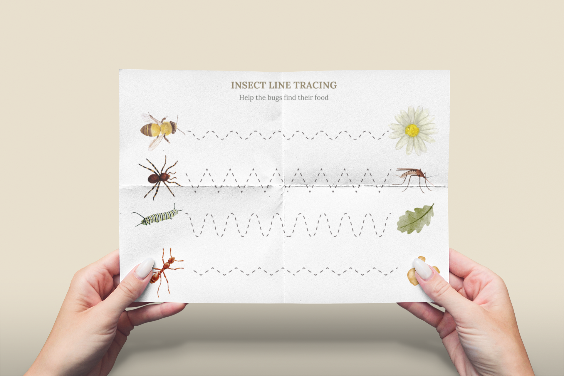 Insect Line Tracing Activity – The Cotton Lane
