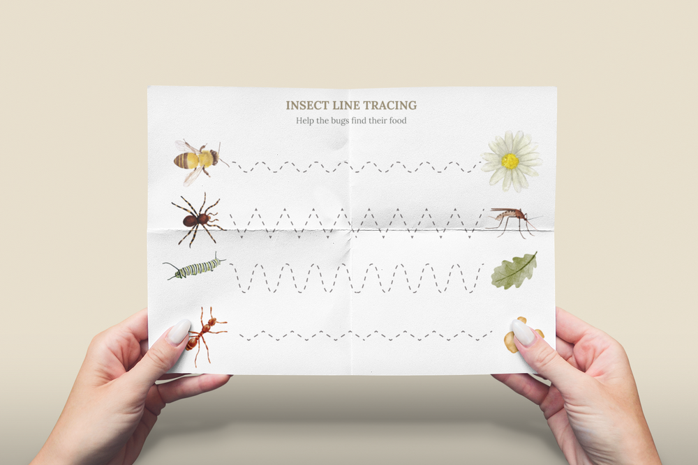 Insect Line Tracing Activity