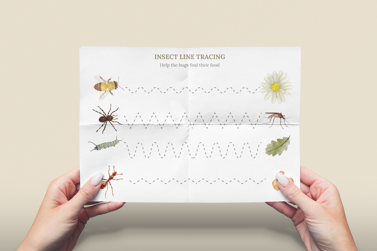 Insect Line Tracing Activity